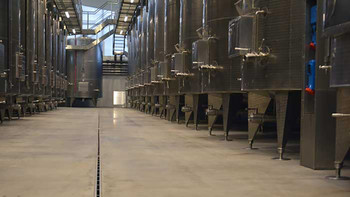 Antinori Winery