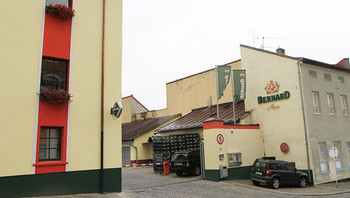 Bernard