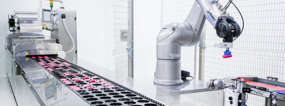 Cibustec-2019-day2-pt1-122-b 3