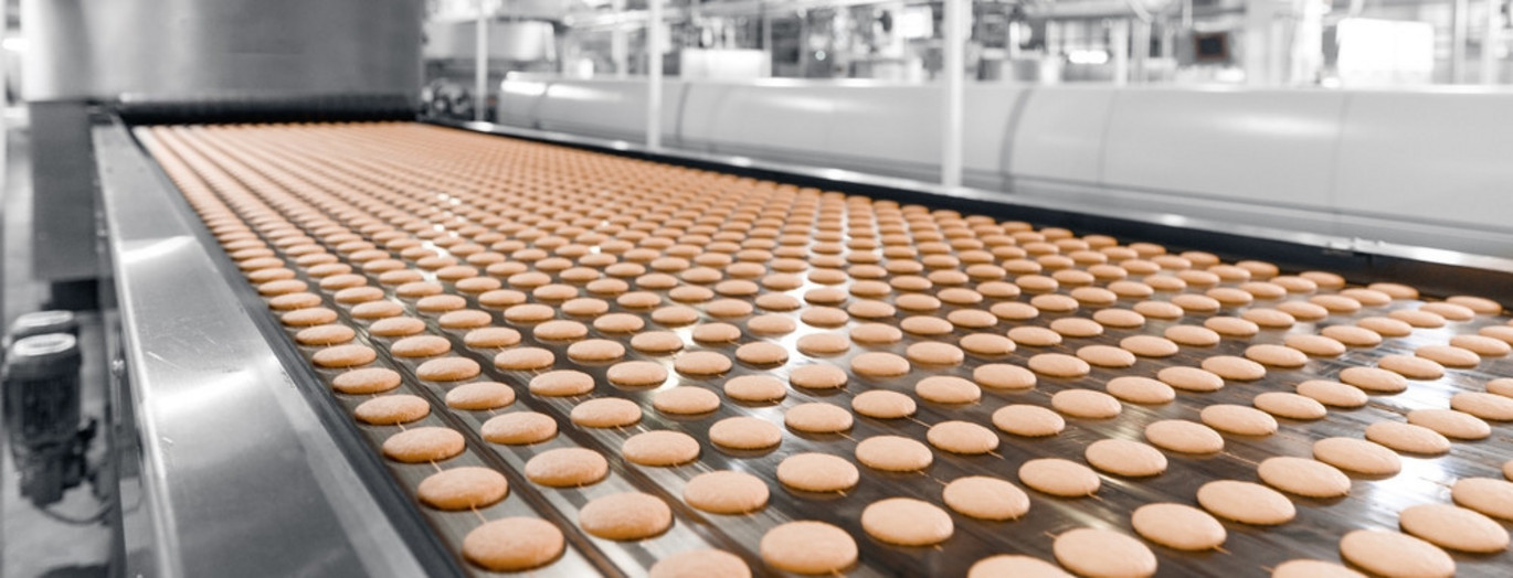 Dry_processing_cookie_conveyr Dry_processing_cookie_conveyr