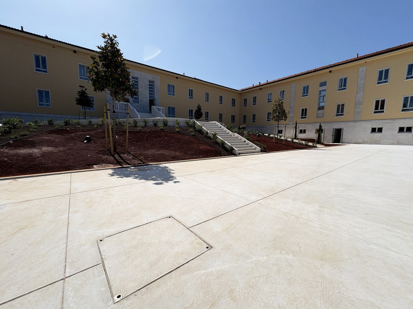 Image  7  Copy