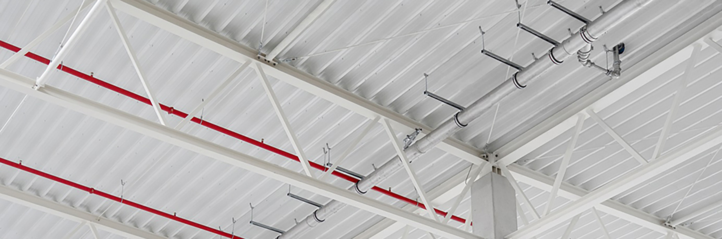Roof drainage in the context of food and beverage production